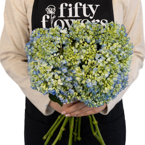 Hydrangea Bicolor Ivory With Hint Of Blue Flower Apron - Image