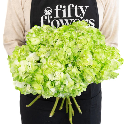 Hydrangea Light Green Airbrushed Apron - Image