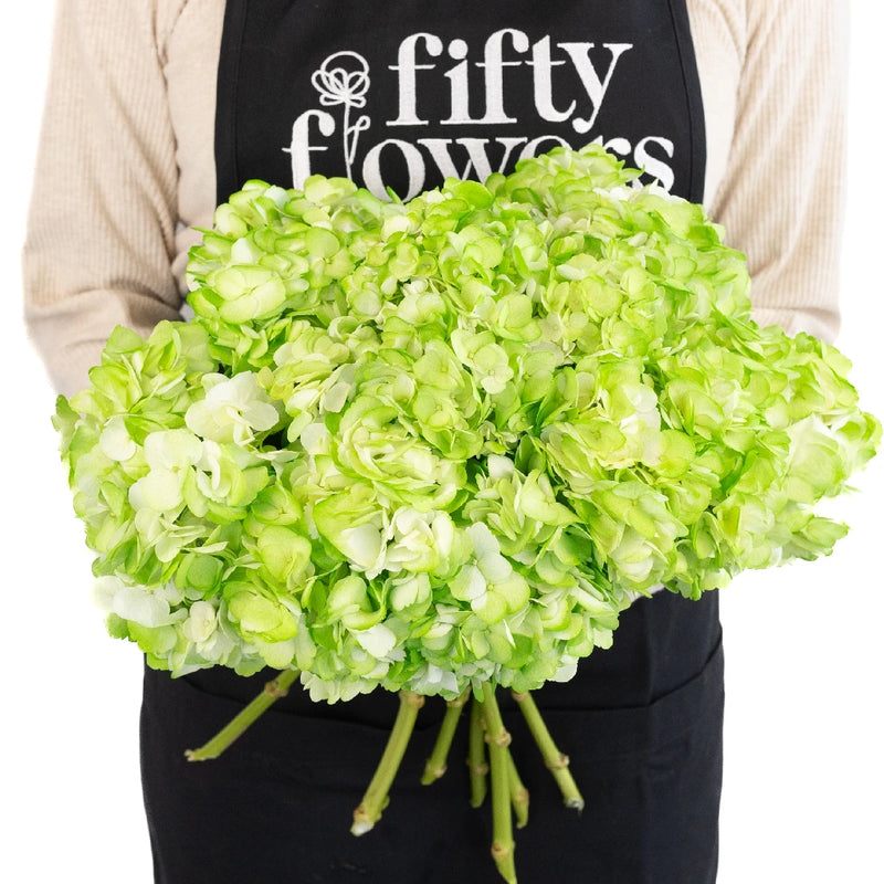 Hydrangea Light Green Airbrushed Apron - Image