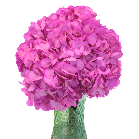 Magenta Enhanced Wedding Flowers in a Vase