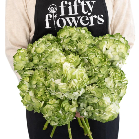 Hydrangea Mossy Green Airbrushed Apron - Image