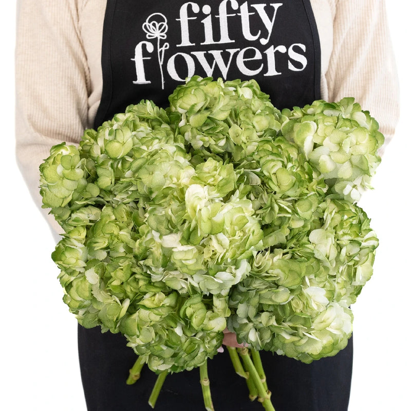 Hydrangea Mossy Green Airbrushed Apron - Image