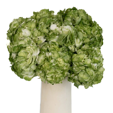 Hydrangea Mossy Green Airbrushed Vase - Image