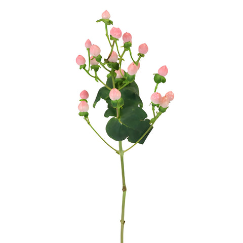 Gumball Pink Designer Hypericum Berries