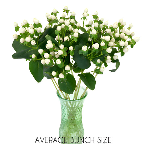 Snow White Designer Hypericum Berries