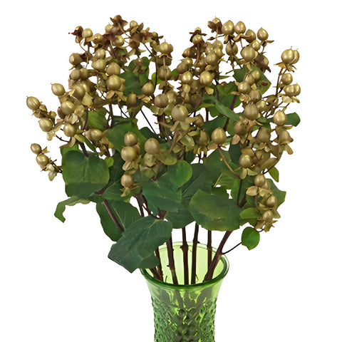 Gold Designer Tinted Hypericum Berries
