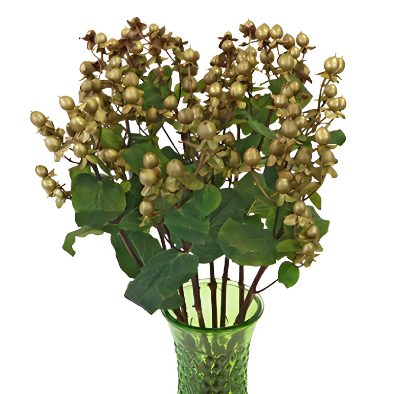 Gold Designer Tinted Hypericum Berries