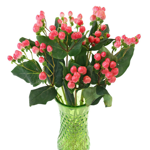 Red Rose Designer Hypericum Berries