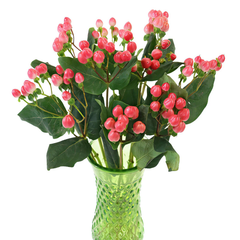 Red Rose Designer Hypericum Berries
