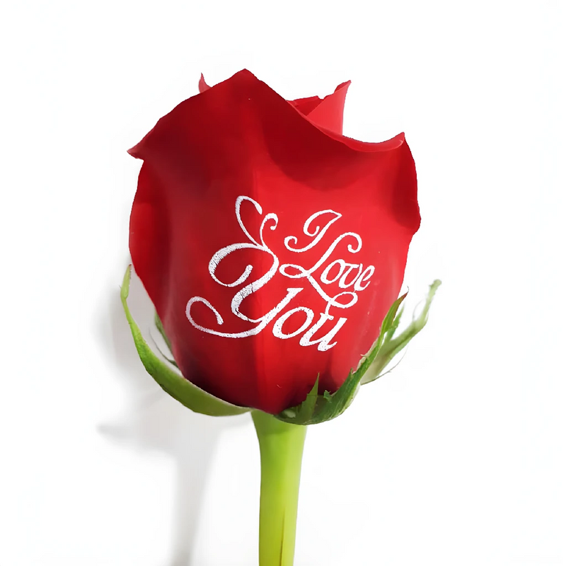 I Love You Personalized Roses Close Up - Image