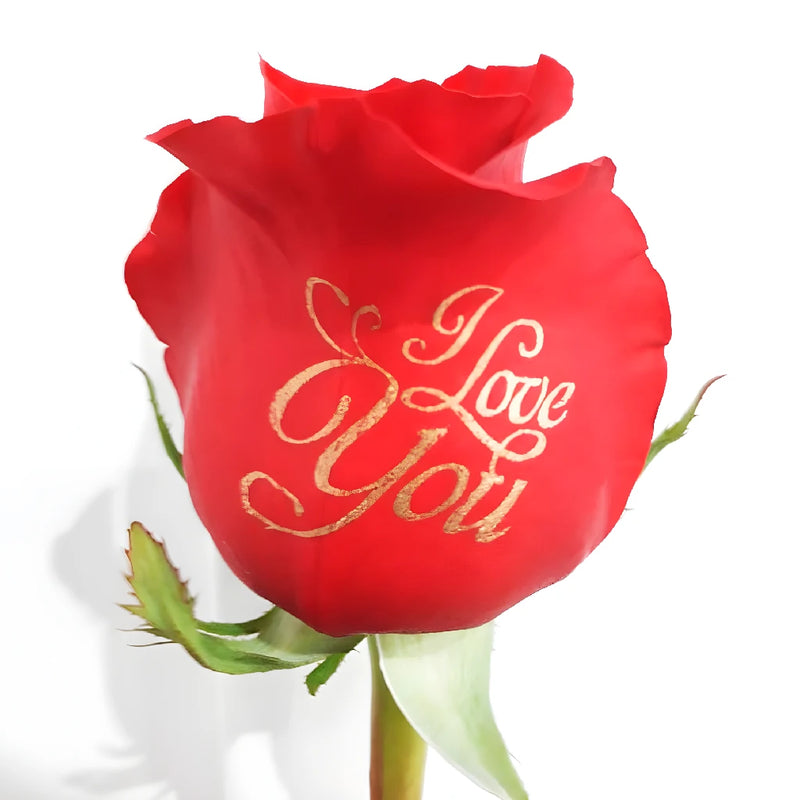 I Love You Personalized Roses Stem - Image