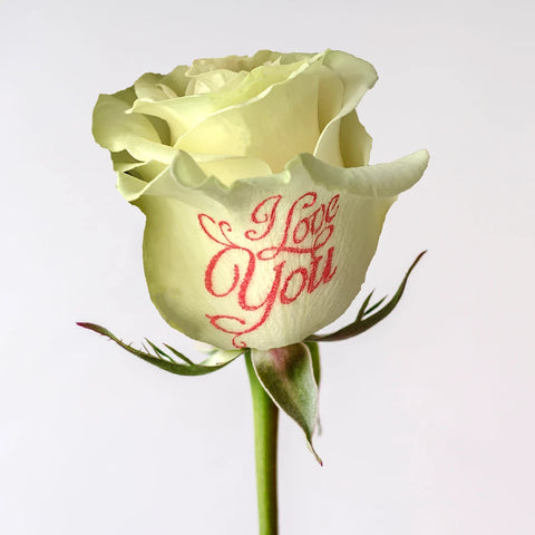 I Love You Personalized Roses Vase - Image