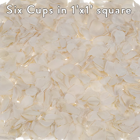 White Preserved rose Petals for Weddings