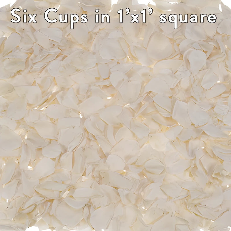 White Preserved rose Petals for Weddings