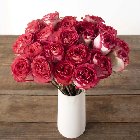 Iguazu Pink and White Bicolor Rose Bunch in Vase
