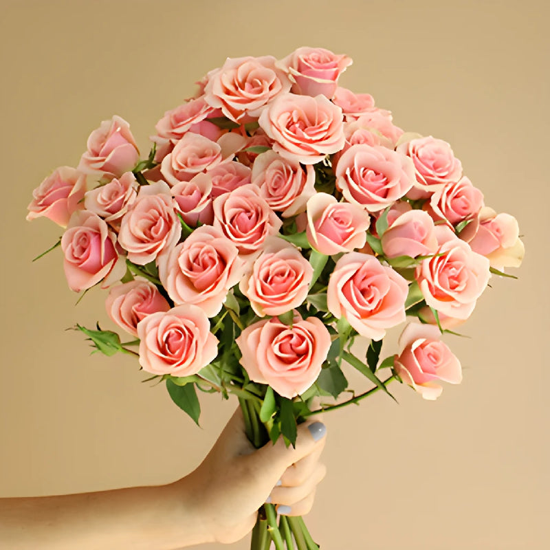 Ilse pale pink Wholesale Rose Bunch in a hand