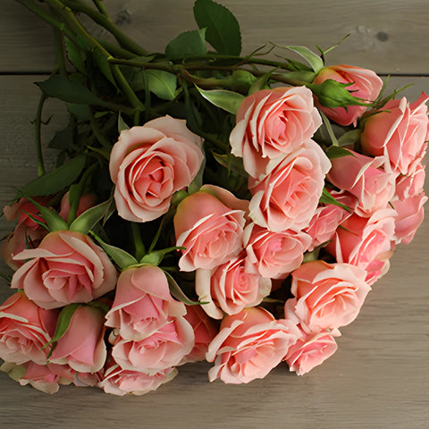 Ilse pale pink Rose Bunch