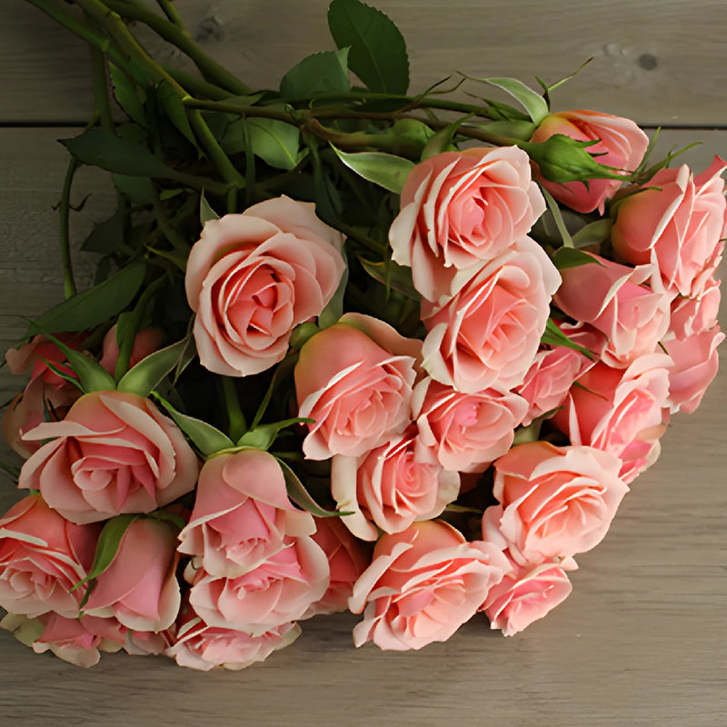 Ilse pale pink Rose Bunch