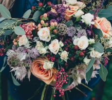 Image for page: Shop By Color