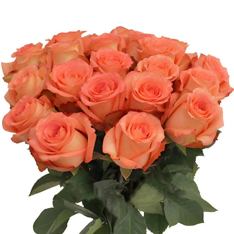 Imagination Coral Rose Vase - Image