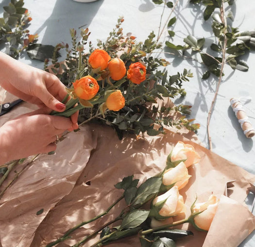 Image for page: Pro Login