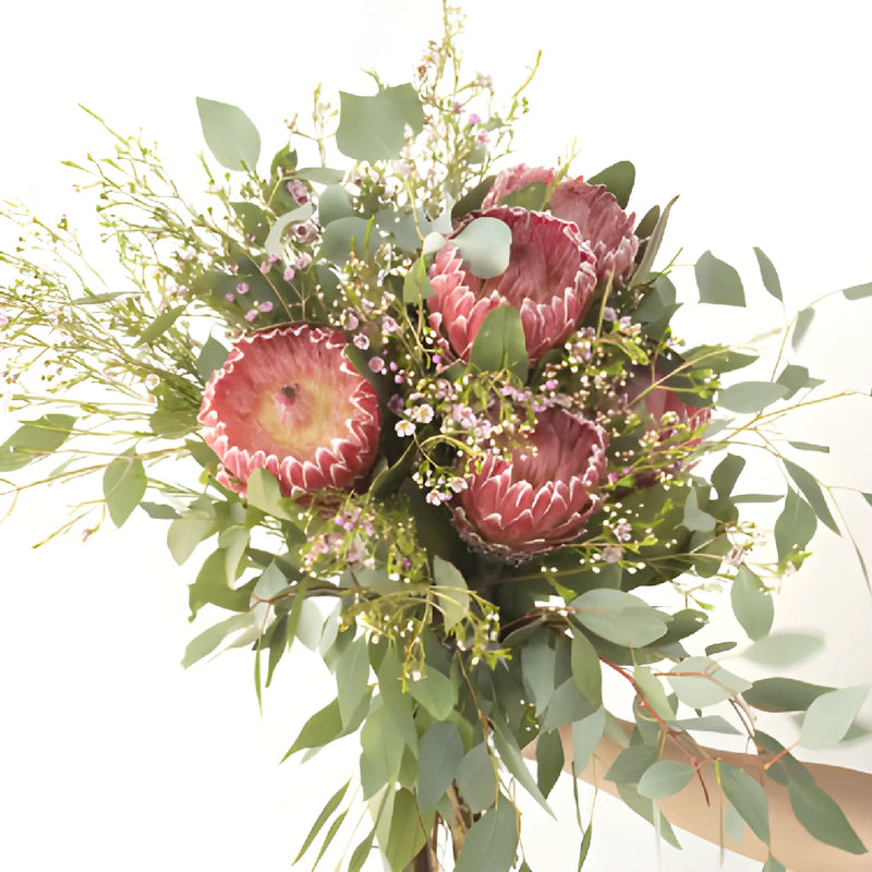 Impressive Protea Combo Wholesale DIY Flower Kit In a Hand