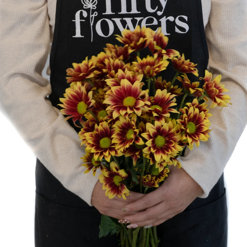 Indian Paintbrush Daisy Flower Apron - Image