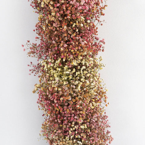 Indian Summer Baby's Breath Tinted Garland Hand - Image