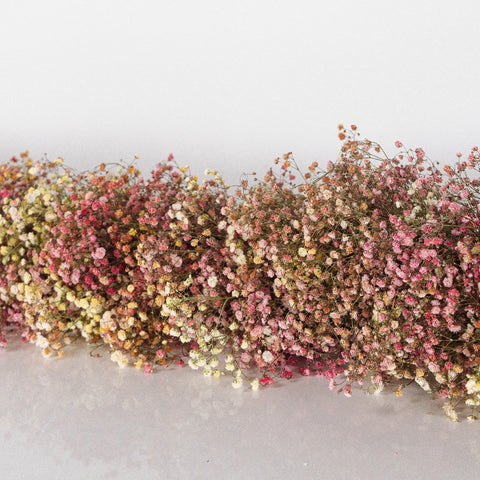DIY Colorful Baby's Breath Garland - The Crafted Life