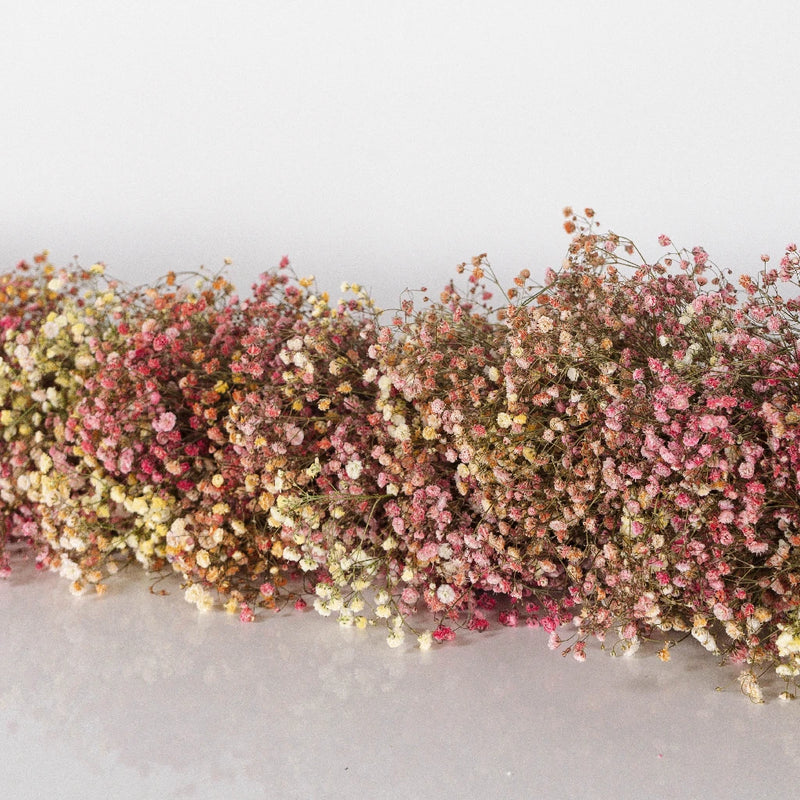 Indian Summer Baby's Breath Tinted Garland Vase - Image