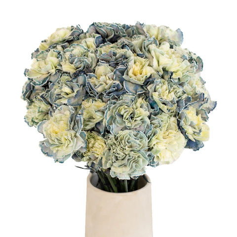 Industrial Blue Carnation Wholesale Flowers Vase - Image