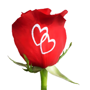 Intertwined Hearts Personalized Roses Close Up - Image