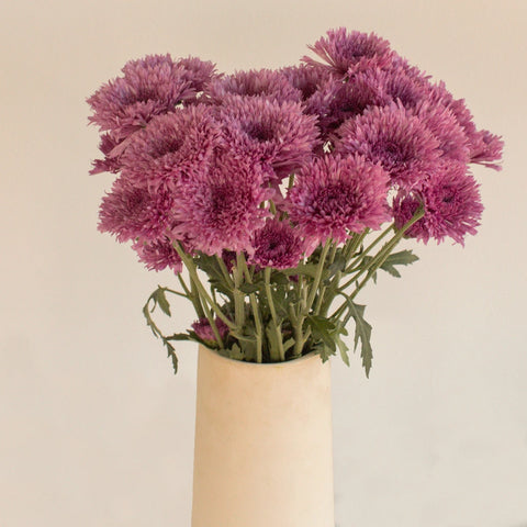Intriguing Lavender Pink Pom Flower Vase - Image