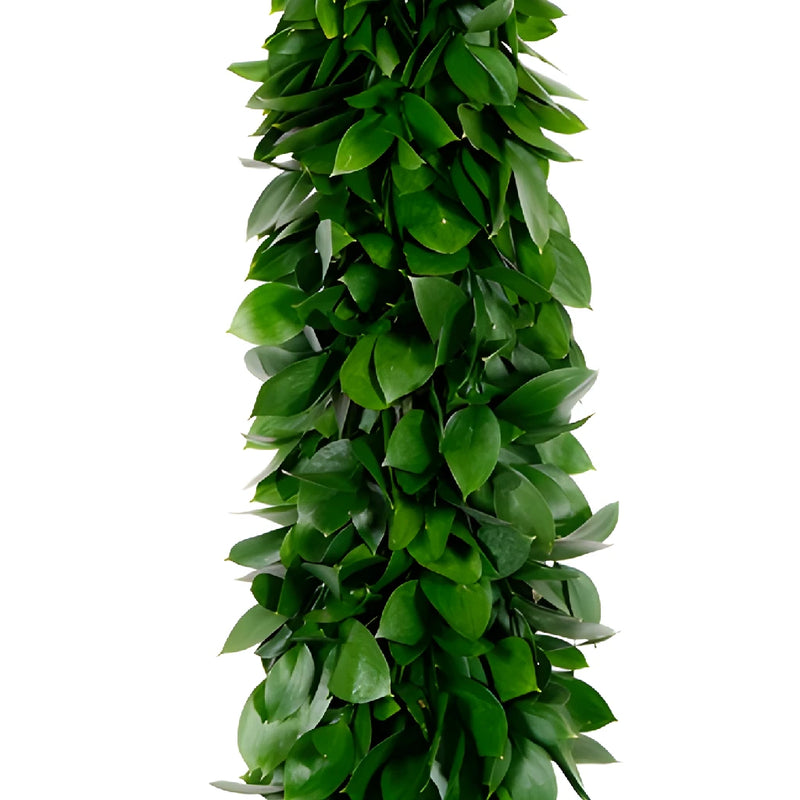 Israeli Ruscus Greens Garland