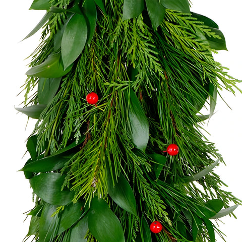 Israeli Ruscus, White Pine, Leyland Cedar, Red Faux Berries Garland