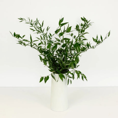 Italian Ruscus Greenery Vase - Image