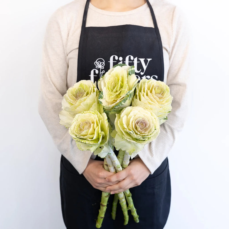 Ivory Princess Kale Apron - Image