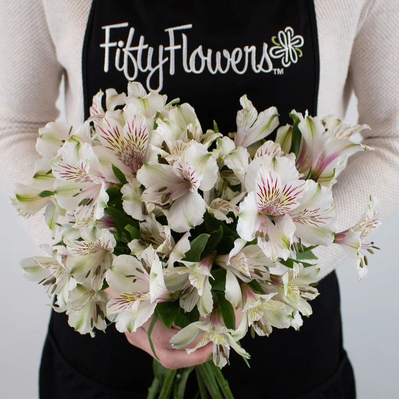 Ivory White Peruvian Lilies Flower Bunch in Hand