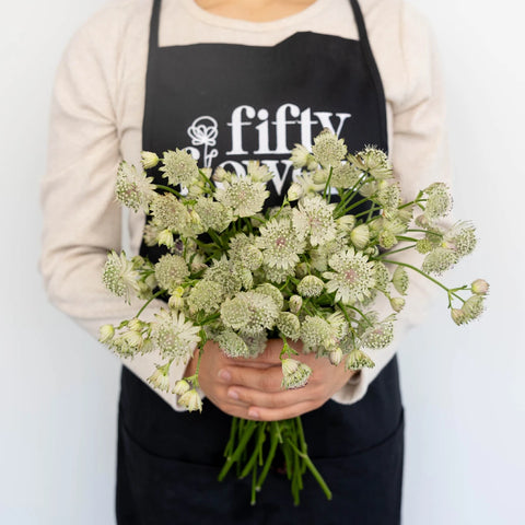 Ivory White Wedding Astrantia Flowers Apron - Image