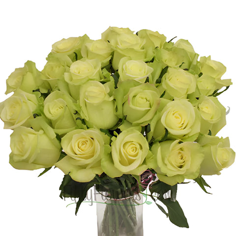 Jade Green Bulk Rose