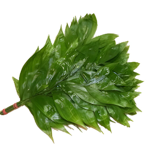 Wholesale greenery jade filler flowers sold as bulk