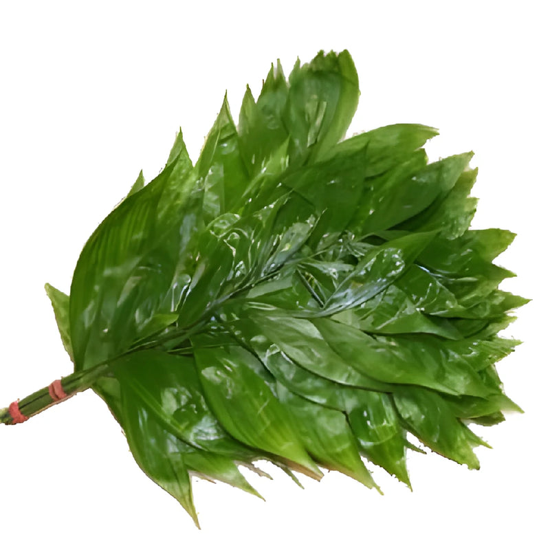 Wholesale greenery jade filler flowers sold as bulk