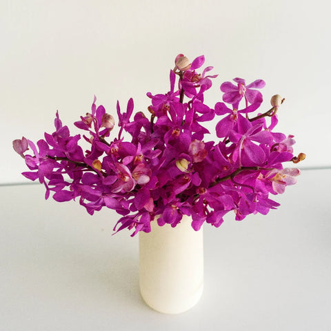 Jaguar Pink Mokara Orchids Vase - Image