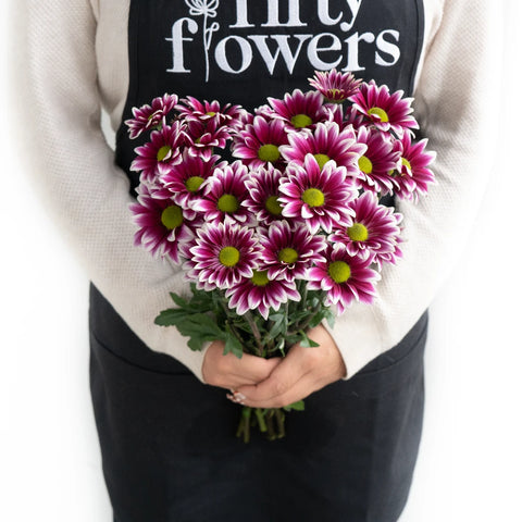 Jazz City Micro Daisy Flower Apron - Image