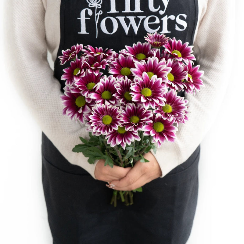 Jazz City Micro Daisy Flower Apron - Image