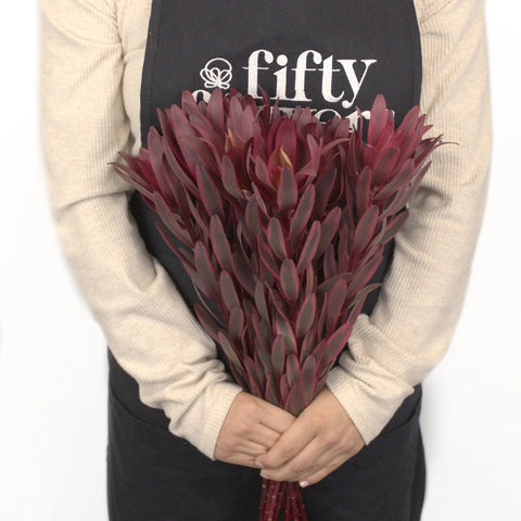 Jester Leucadendron Apron - Image