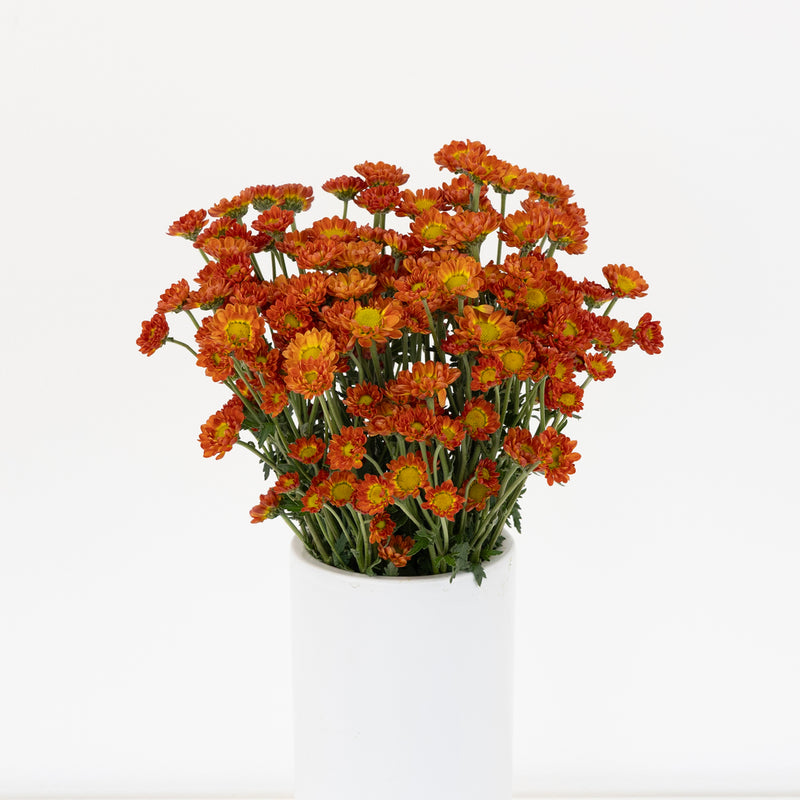 Juicy Vase - Image