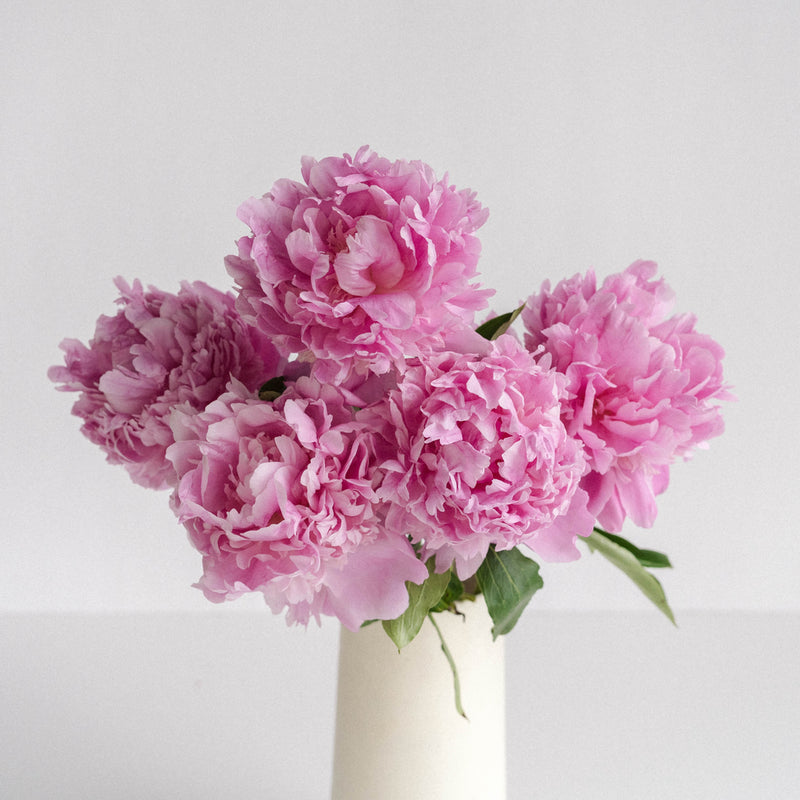 Jules Elie Pink Peonies For Mother's Day Vase - Image
