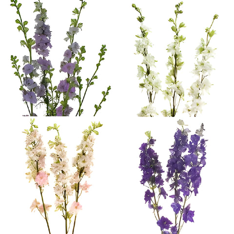 July Wedding Larkspur DIY Flower Kit Bunch