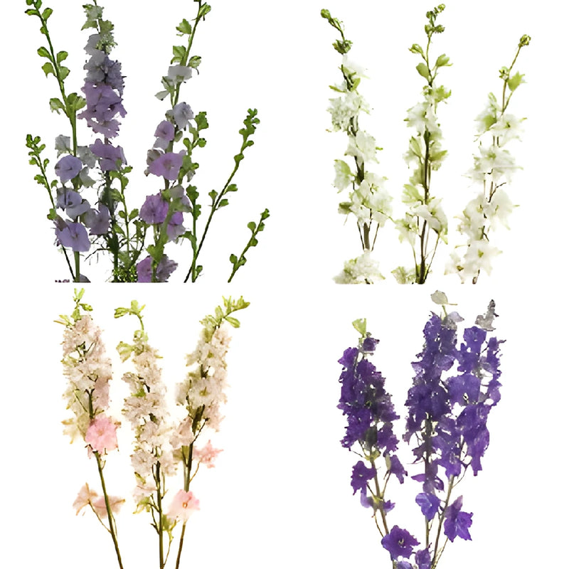 July Wedding Larkspur DIY Flower Kit Bunch